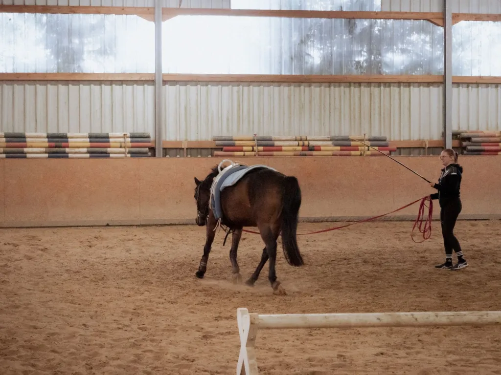 Learn to Ride With Confidence